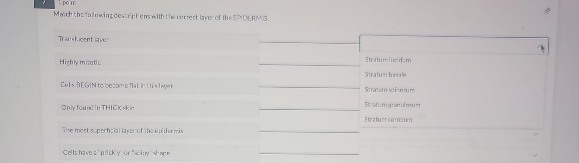 Solved Match the following descriptions with the correct | Chegg.com