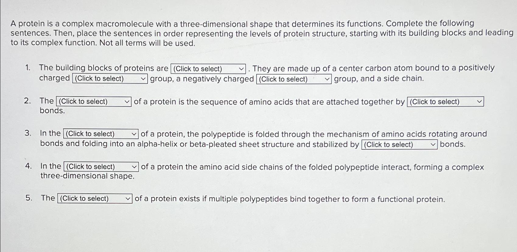 Solved A protein is a complex macromolecule with a | Chegg.com