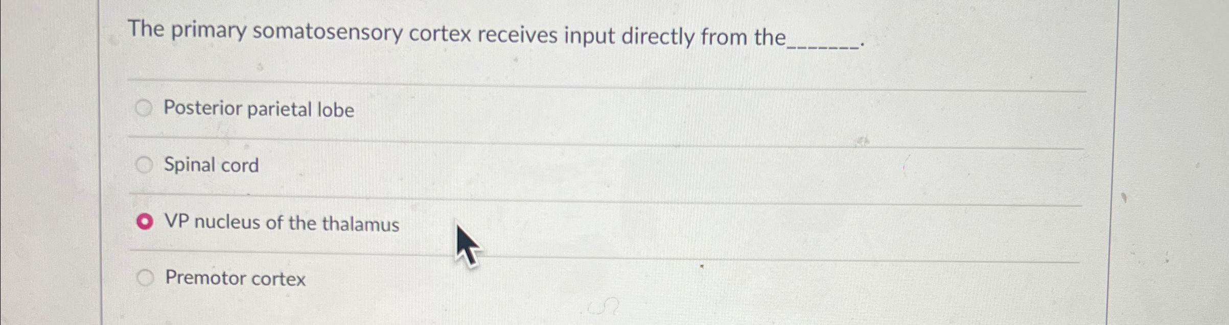 Solved The primary somatosensory cortex receives input | Chegg.com 