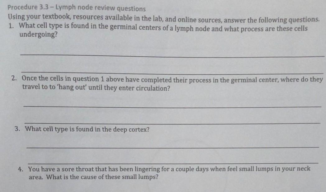 Lingering Questions and Next Steps