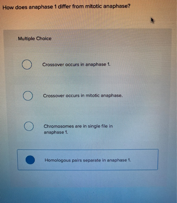 solved-how-does-anaphase-1-differ-from-mitotic-anaphase-chegg