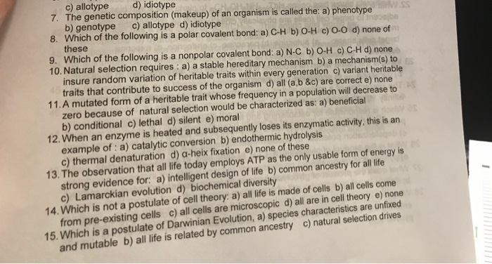 solved-c-allotype-7-the-genetic-composition-makeup-of-an-chegg