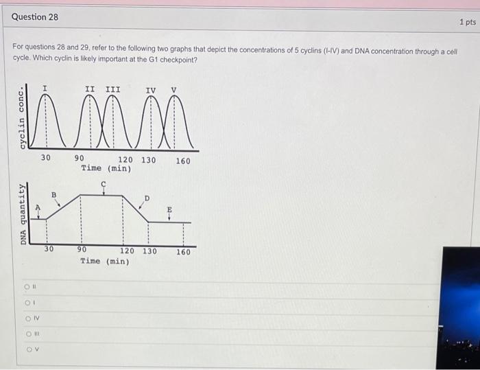 Solved Question 28 1 pts For questions 28 and 29, refer to | Chegg.com