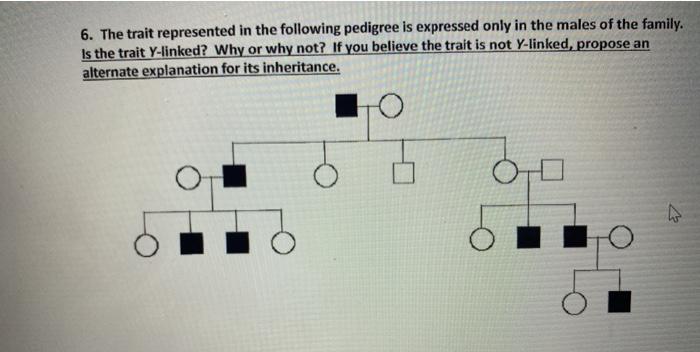 6. The trait represented in the following pedigree is expressed only in the males of the family. Is the trait Y-linked? Why o