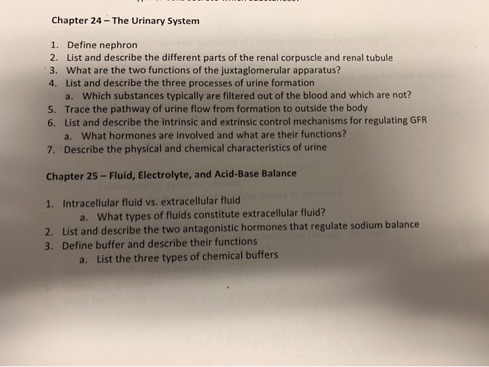 Solved Chapter 24 - The Urinary System 1. Define nephron 2. | Chegg.com