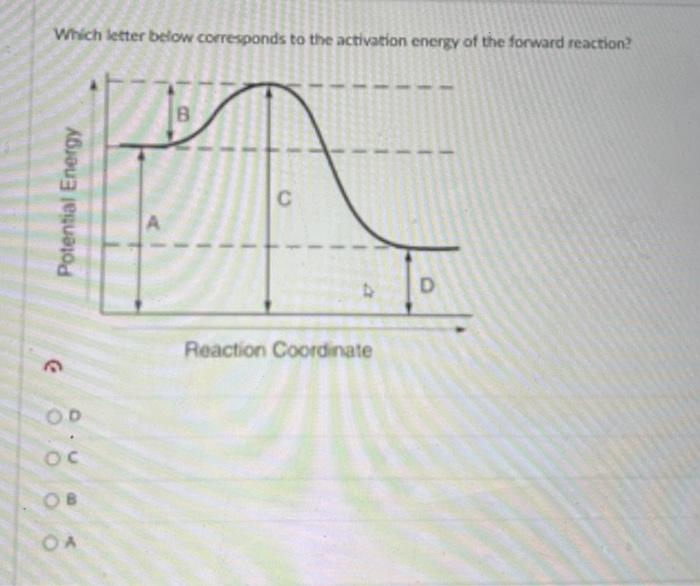 Solved Which letter below corresponds to the activation | Chegg.com