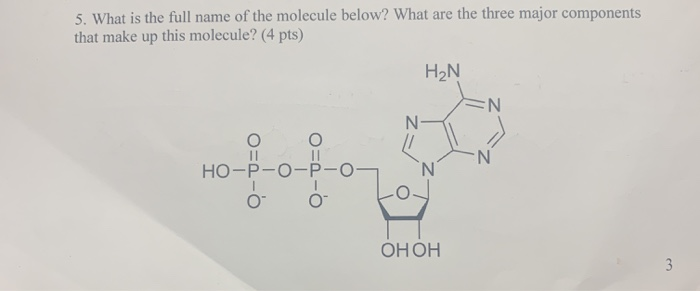 Solved 5. What is the full name of the molecule below? What | Chegg.com