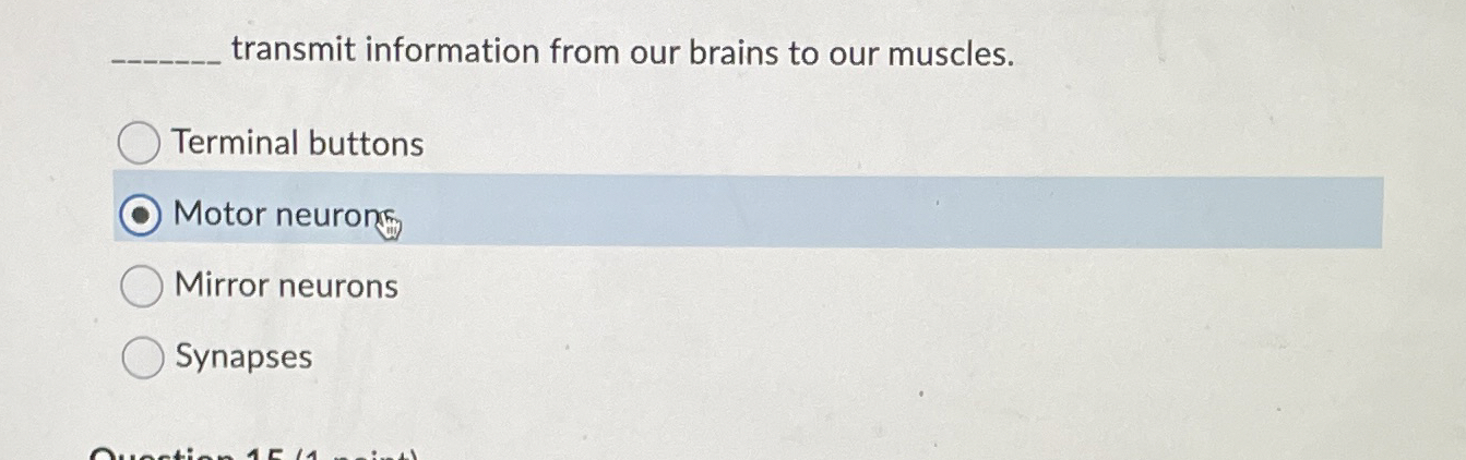 Solved transmit information from our brains to our | Chegg.com