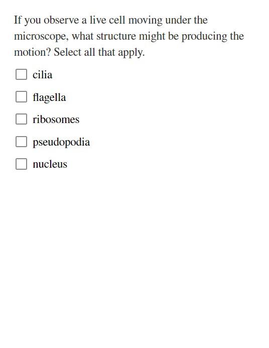 Solved If you observe a live cell moving under the | Chegg.com