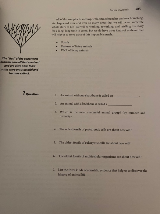 Survey Of Animals 305 All Of This Complex Branching Chegg Com