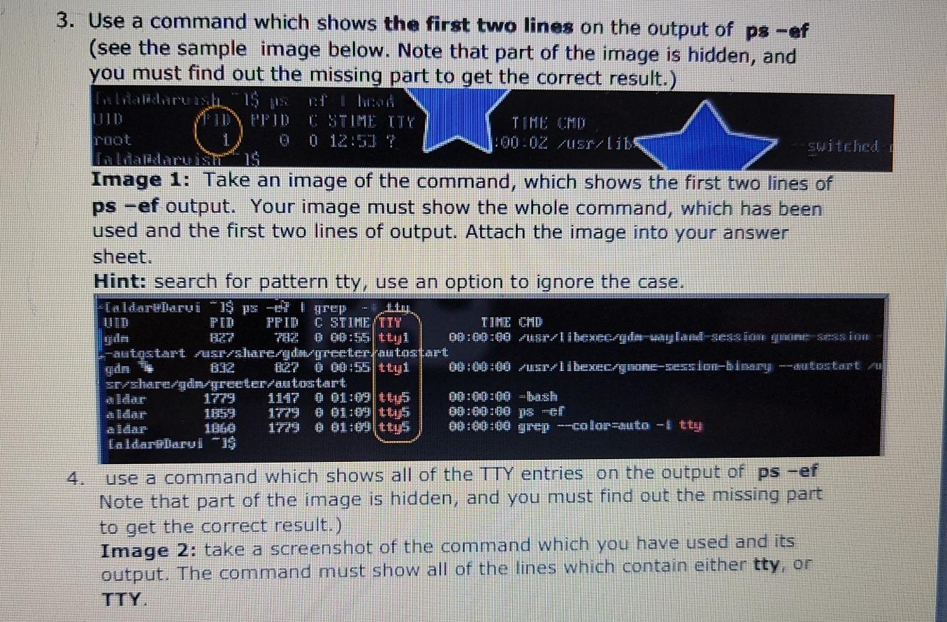 Solved O. 3. Use a command which shows the first two lines | Chegg.com