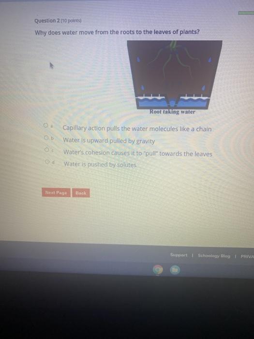 Solved Question 2 (10 points) Why does water move from the