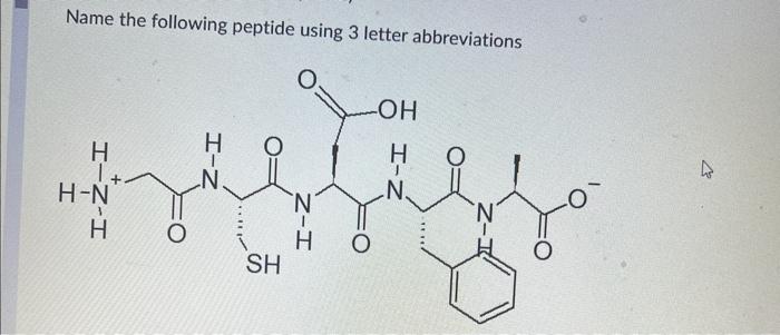 Solved Name the following peptide using 3 letter | Chegg.com
