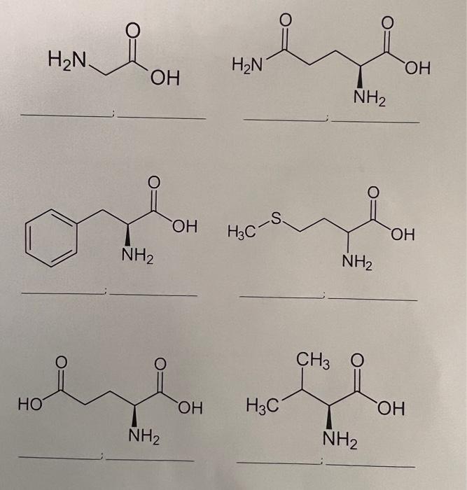 Solved Identify the following amino acids with their