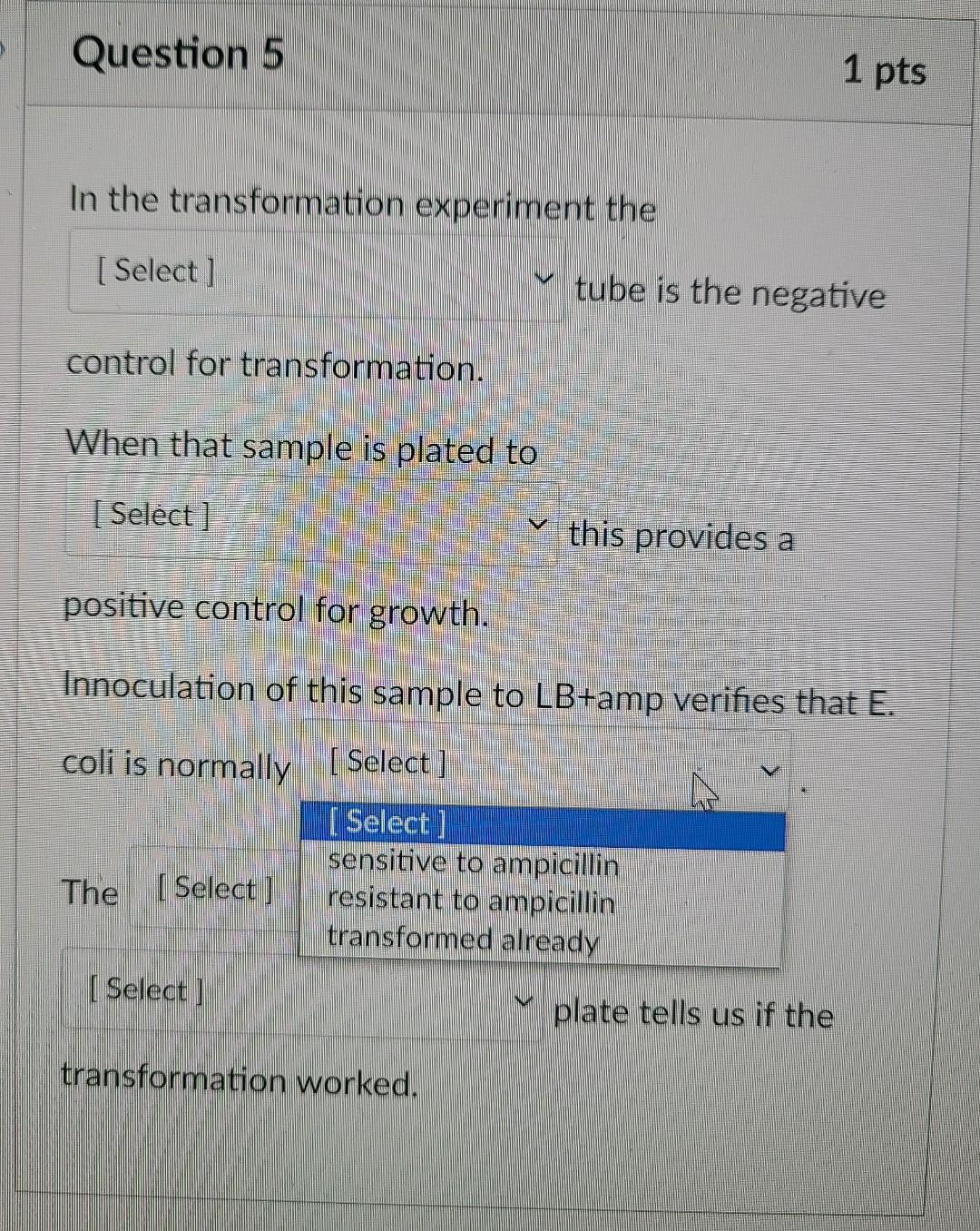 Solved Question 5 1 pts In the transformation experiment the | Chegg.com