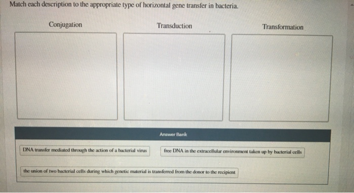 solved-match-each-description-to-the-appropriate-type-of-chegg