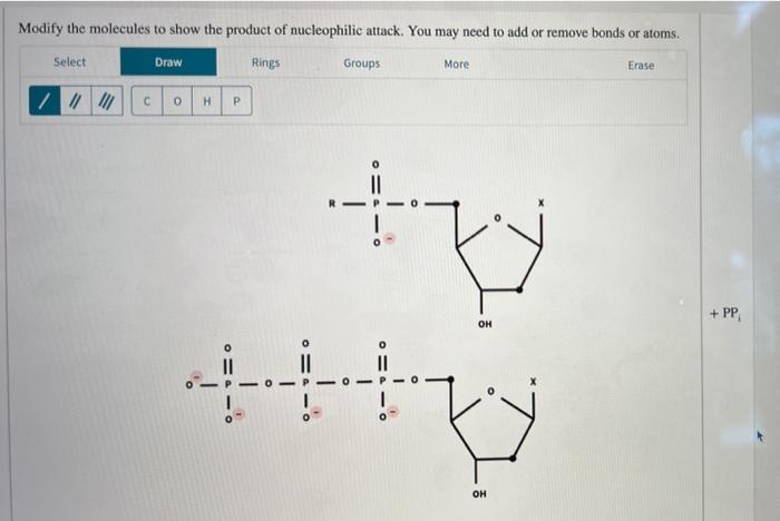 Solved Nucleotides add to the 3′ end of a growing DNA chain | Chegg.com