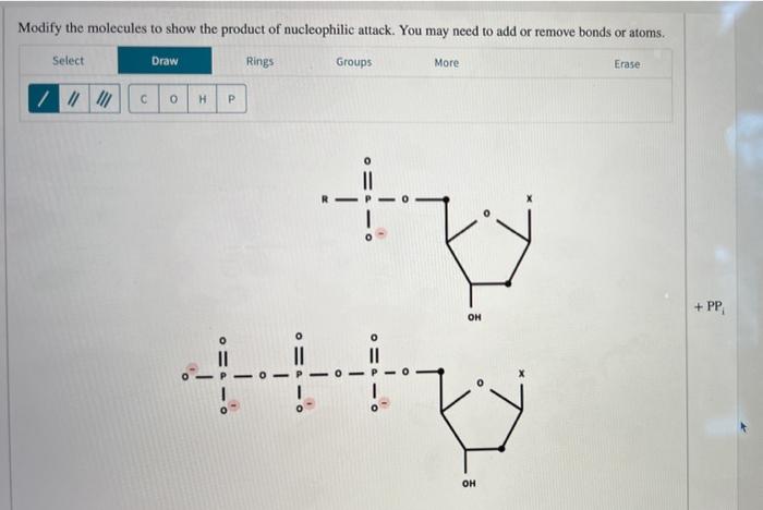 Solved Nucleotides Add To The 3′ End Of A Growing DNA Chain | Chegg.com