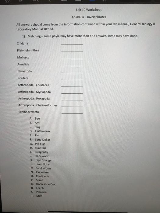 Solved Lab 10 Worksheet Animalia - Invertebrates All answers | Chegg.com