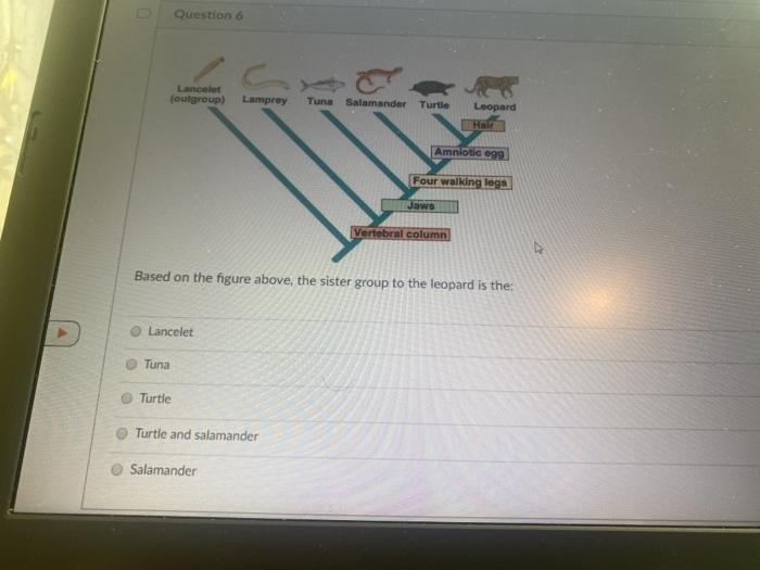 Solved Question 5 2 pts When a population undergoes a | Chegg.com