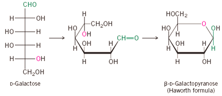 Clearly represent the most stable conformation of the β... | Chegg.com