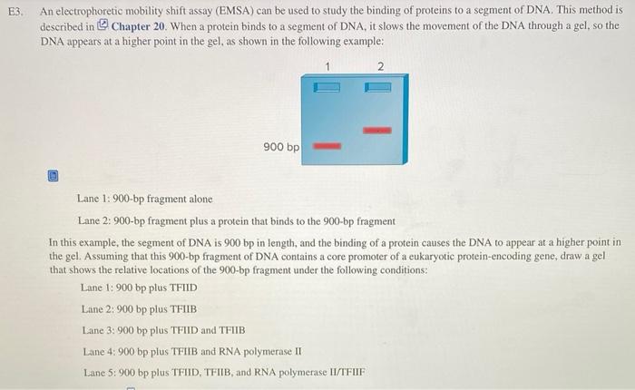 Solved E3 An electrophoretic mobility shift assay (EMSA) can | Chegg.com