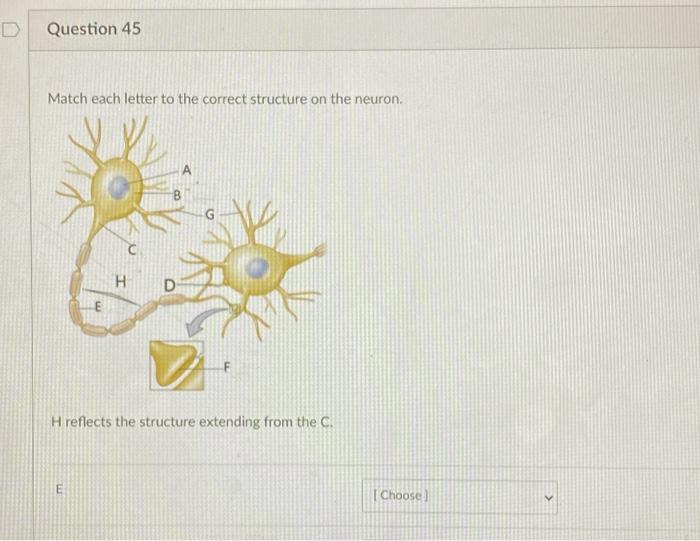 Solved D Question 45 Match each letter to the correct | Chegg.com