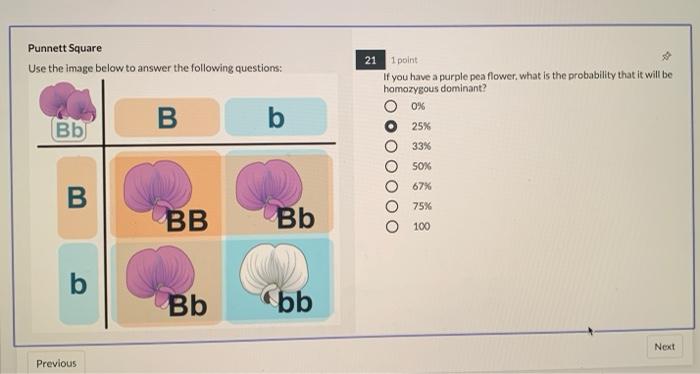 Solved Punnett Square Use the image below to answer the | Chegg.com