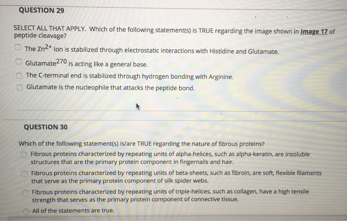 Solved QUESTION 29 SELECT ALL THAT APPLY. Which of the | Chegg.com