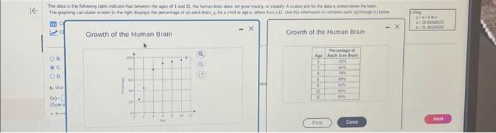 The Astonishing Growth Of The Human Brain A 300 Increase - yone5ja