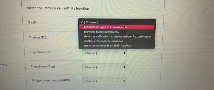 Solved Match the immune cell with its function B cell | Chegg.com