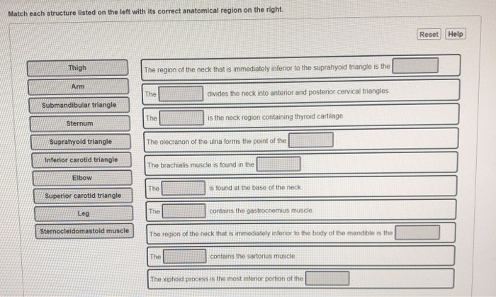 Solved Match each structure listed on the left with its | Chegg.com