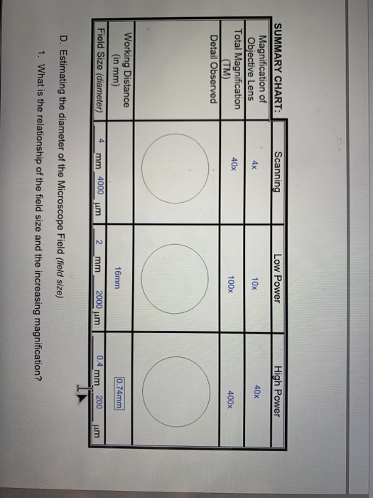 Solved Scanning Low Power High Power 10% 40x SUMMARY CHART: | Chegg.com