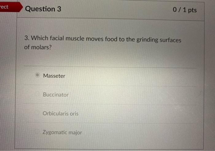 Solved Question 1 0 1 pts 1. Which region of the pharynx Chegg