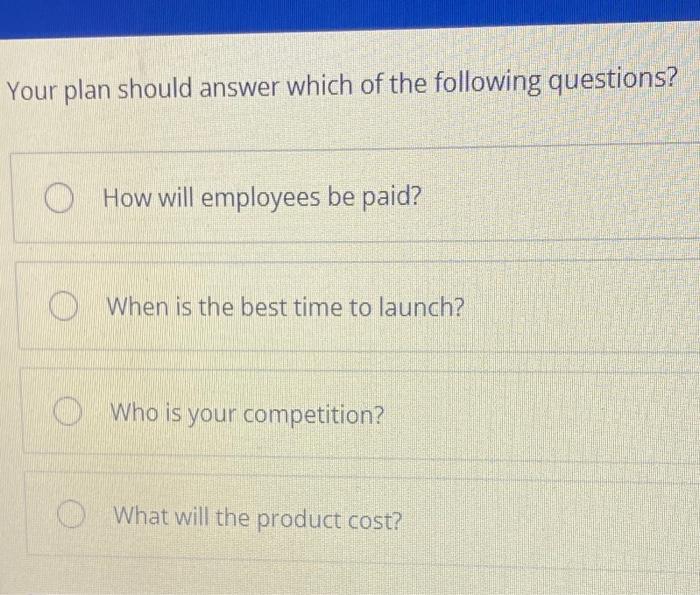 a business plan should answer which of the following questions(s)