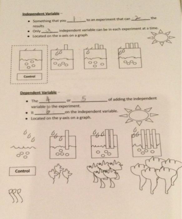 in an experiment the independent variable blank