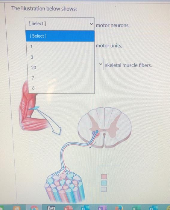 Solved The Illustration Below Shows: [ Select] Motor | Chegg.com