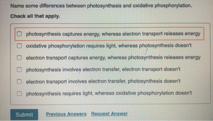 solved-name-some-differences-between-photosynthesis-and-chegg