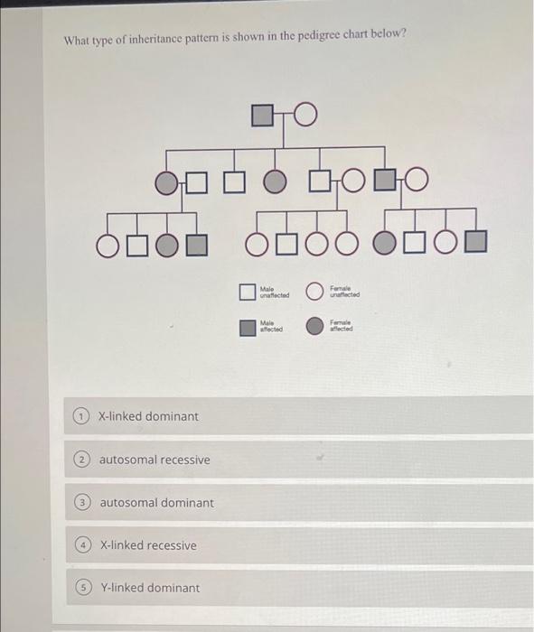 What type of inheritance pattern is shown in the pedigree chart below?
X-linked dominant
autosomal recessive
autosomal domina