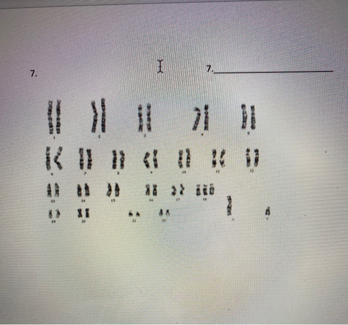 Solved please use this information above to properly label | Chegg.com