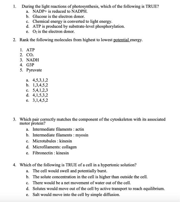 Solved 1. During the light reactions of photosynthesis, | Chegg.com