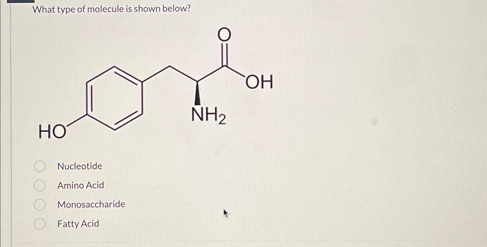Solved What type of molecule is shown below?NucleotideAmino | Chegg.com
