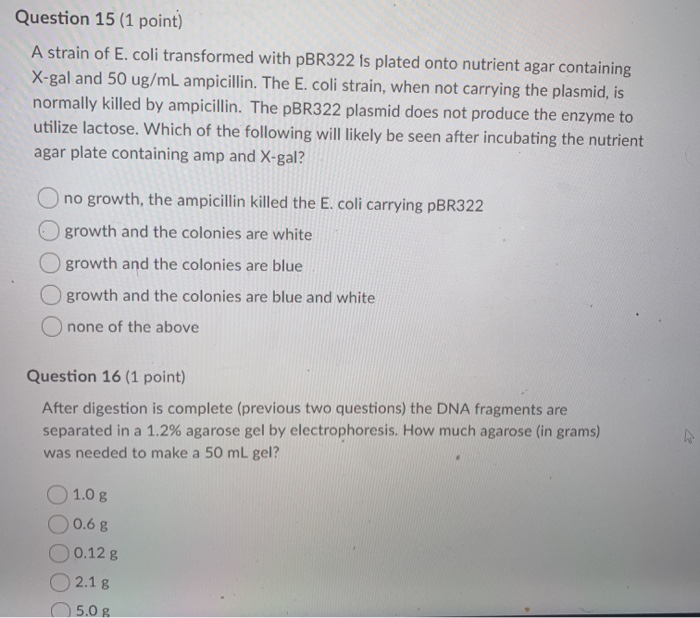 dna prep