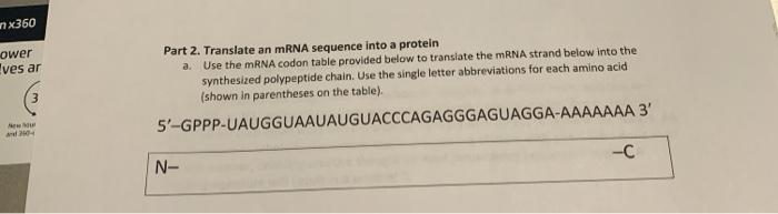 Solved nx360 ower ves ar Part 2. Translate an mRNA sequence | Chegg.com