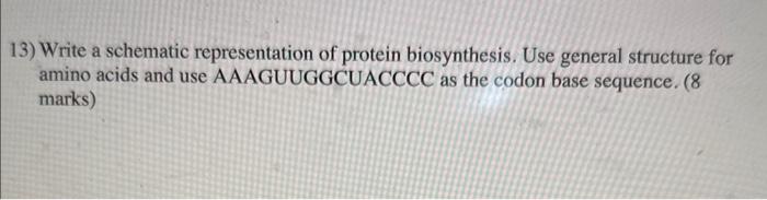 Solved 13) Write a schematic representation of protein | Chegg.com