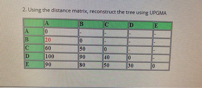 Solved 2. Using the distance matrix, reconstruct the tree | Chegg.com