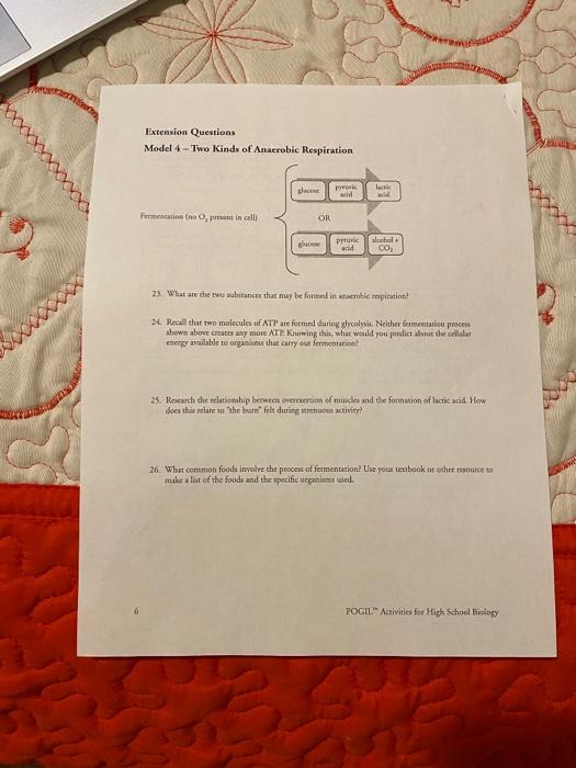Solved Extension Questions Model 4 Two Kinds of Anaerobic