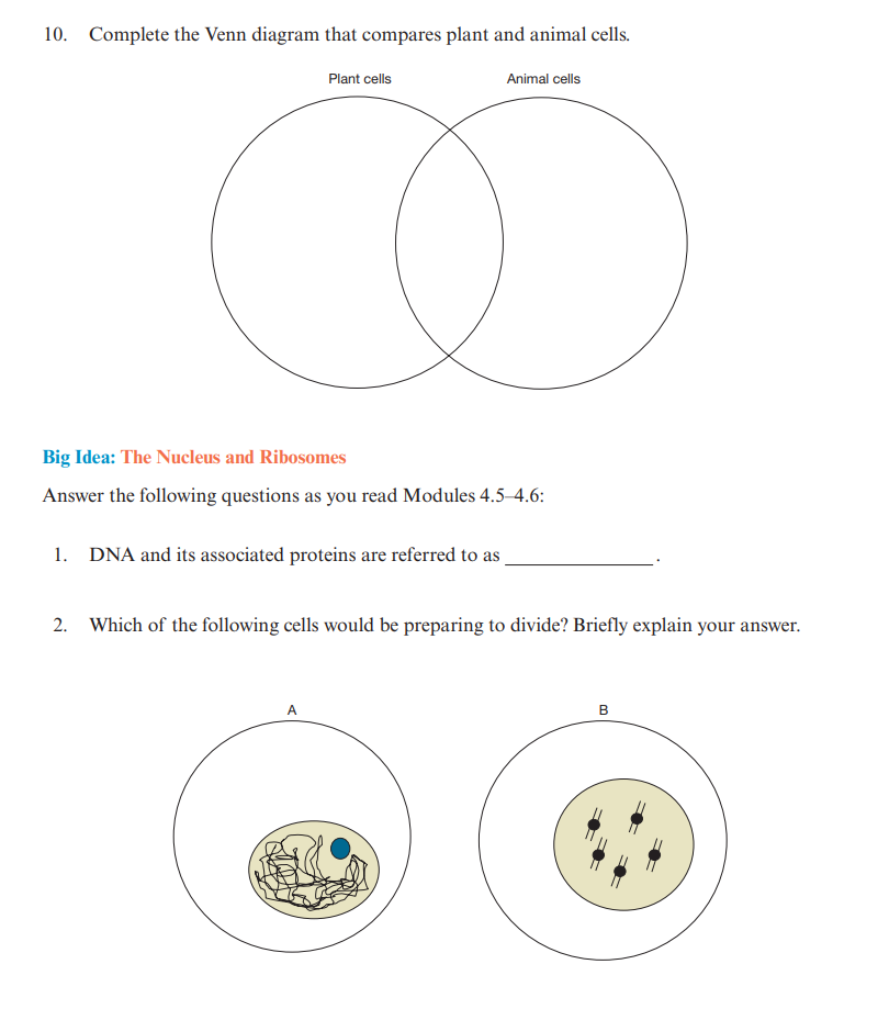 Solved 10. Complete the Venn diagram that compares plant and 