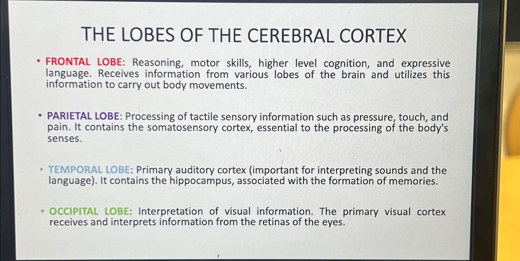 Solved THE LOBES OF THE CEREBRAL CORTEXFRONTAL LOBE Biology Diagrams