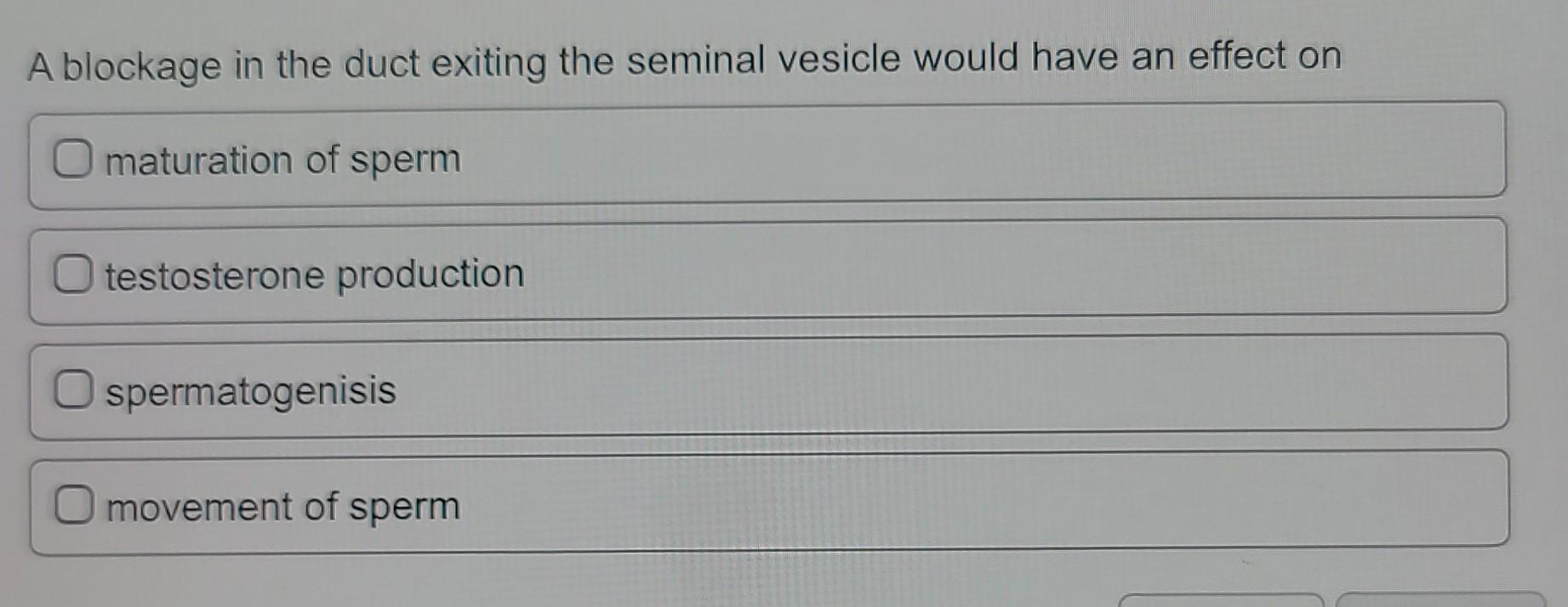 Solved A blockage in the duct exiting the seminal vesicle | Chegg.com